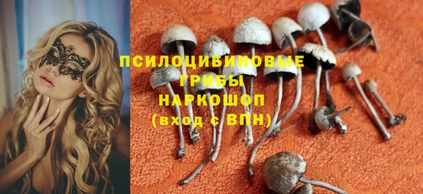 молекула духа Горно-Алтайск