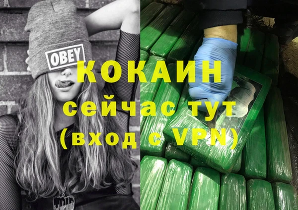 хмурый Горняк