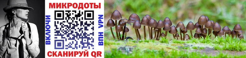 купить   Егорьевск  Галлюциногенные грибы Psilocybine cubensis 