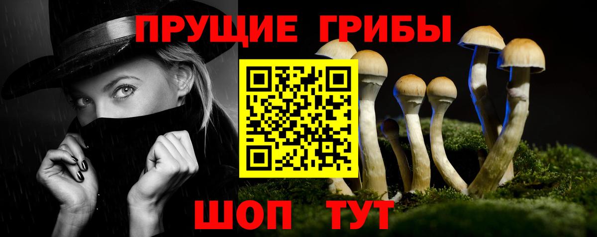 Галлюциногенные грибы мухоморы Егорьевск