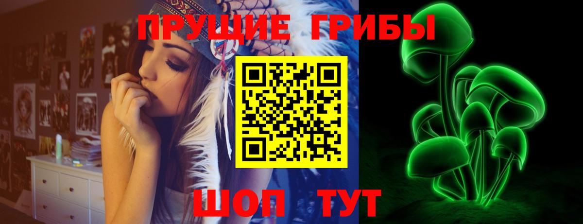 Галлюциногенные грибы Psilocybine cubensis  Псилоцибиновые грибы мухоморы  Егорьевск  цены   Вход с VPN 